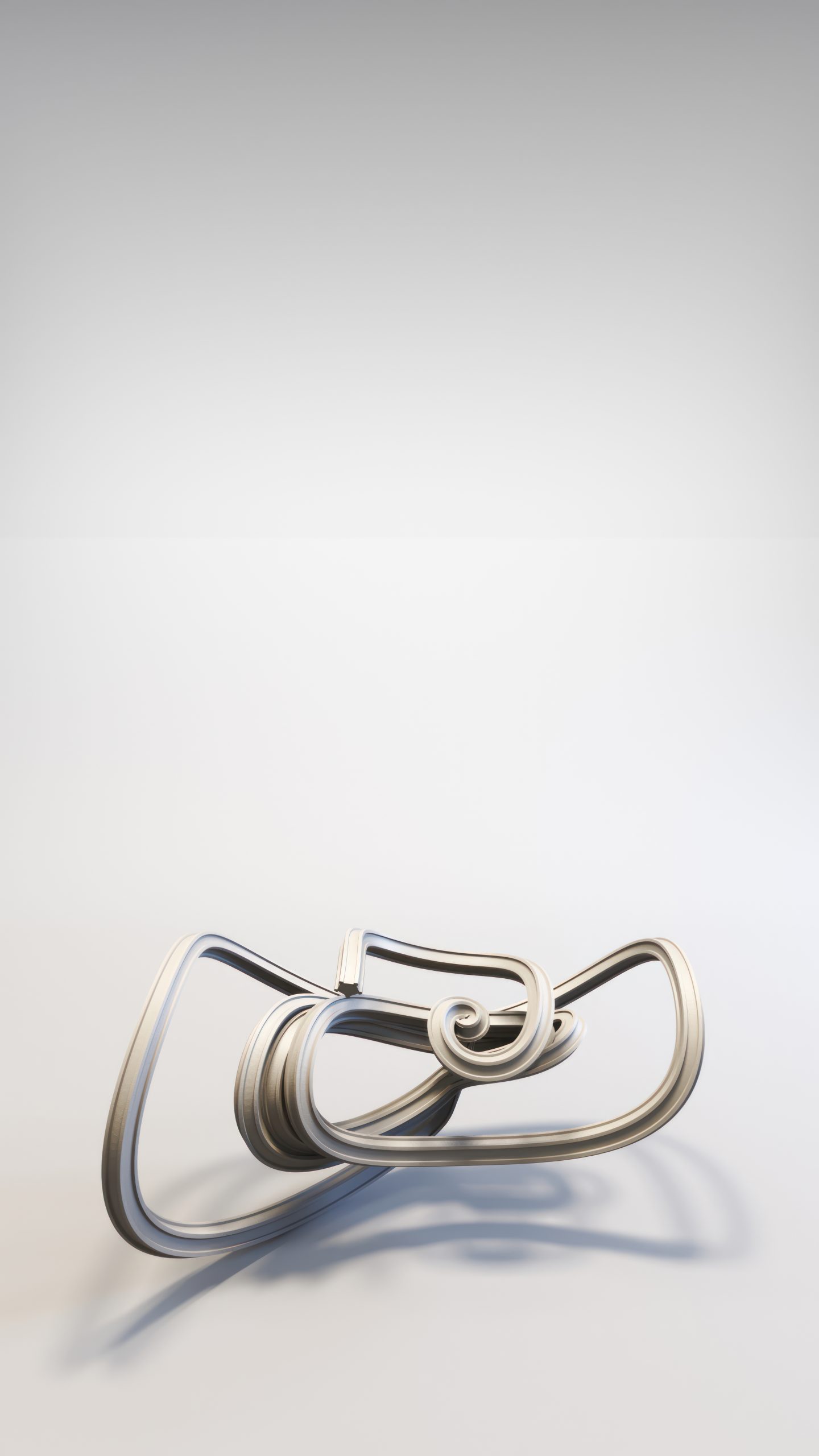 Newton–Leipnik System digital artwork by Riccardo Zerbinati